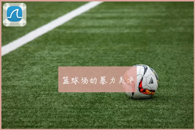 篮球场的暴力美学