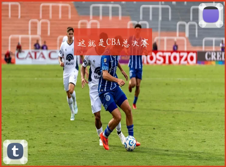 这就是CBA总决赛